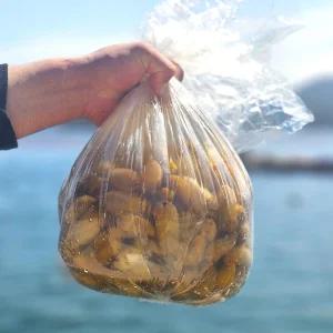 국내산 통영 생물 오만둥이 최상급 1kg