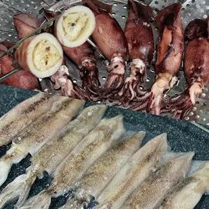 [딜픽]통찜용 한치 10-14미 1kg내외