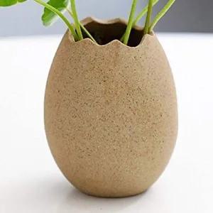 [골드스마일]유리 세로 화병 계란형 인테리어 꽃병 투명 장식용 미니 화병 소품