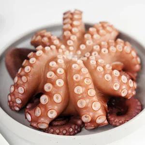 자연산 활 돌문어 1kg