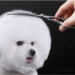 [골드스마일]강아지 20도 커브 가위 7in 1P 셀프 미용 곰돌이 얼굴 반려견가위