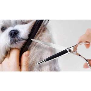 [골드스마일]강아지 일자 가위 7in 1P 셀프 미용 애견 얼굴 다리 반려견가위