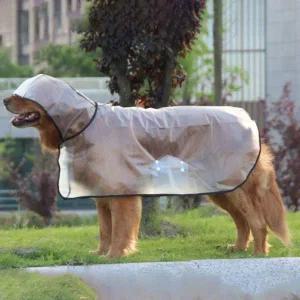 [골드스마일]강아지 우비 투명 귀여운 레이코트 비옷 XL 2XL 3XL 반려동물용품