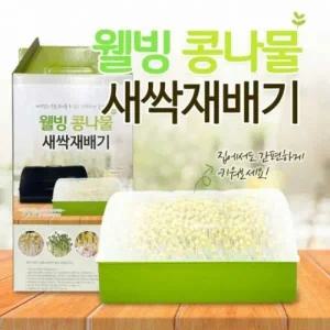 [골드스마일]투명 돔 새싹 용기 콩나물 재배기