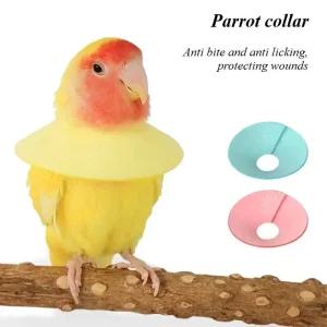 앵무새횟대 새 목걸이 앵무새 물림 방지 통기성 콘 보호 목