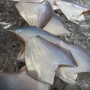 남해안 자연산 횟감용 손질 병어 300g 2-6미 원물 1kg 급냉