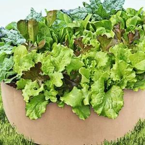 텃밭 베란다 초 대형 화분 베이지 부직포 90x30cm 베란다 텃밭 부직포화분 텃밭화분