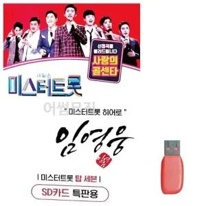[RGK77RT3]음악USB 미스터트롯 임영웅 히어로 66곡