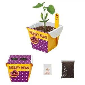 홈가드닝 교구 강낭콩씨앗 화분 흙 세트 식물키우기 실내식물 상자텃밭 화분만들기