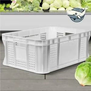 다용도 투명 플라스틱 박스 과일 보관 바구니 수납바구니 바스켓 컨테이너박스