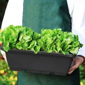 베란다 텃밭 화분 받침대 세트 채소 상추 대파 키우기 플라스틱화분 텃밭화분 베란다화분