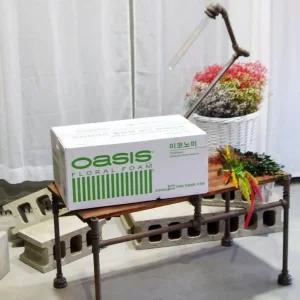 오아시스 이코노미 꽃꽃이 스펀지 20개꽂이악세사리 꽂이 꽂이용 꽂이도구 학습용 교육용 원예 조화