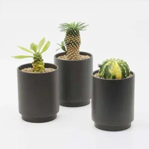 키우기쉬운 플랜테리어 집들이선물 블랙 다육식물키트화분 반려 미니 키우기 에서키우기쉬운 식물인 도자기
