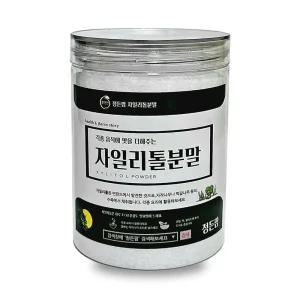 자일리톨분말 350g 정든팜 이중밀폐통 가루자일리톨추출 농축 건조 선물용