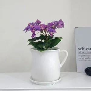 모던 도기 화분 티포트 15x16cm 화이트유광분갈이 홈가드닝 식물키우기 꽃키우기 원예용 집들이선물 꾸미기