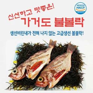 가거도 불볼락 대 3마리 도볼락 도불 신선한 구이용 매운탕용 생선