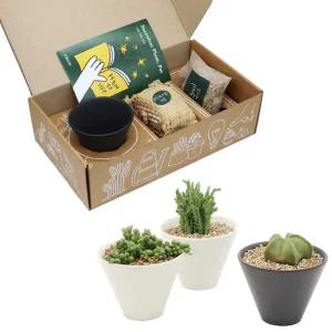 블랙 앤 화이트 도자기화분 다육식물 세트인테리어 거실 실내 미니