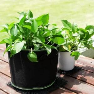 베란다 텃밭 대형 부직포 화분 2p 대파 상추 키우기백 블루베리 커버 가정용 식물기르기 가벼운 그로우 튼