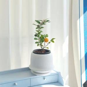 모던 도기 세로줄 화분 MCP203 18x19cm 화이트베란다 집화분 예쁜 식물 선물 장식 디자인 꾸미기 정원 도자