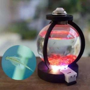 씨몽키 수족관 만들기 과학 교육 만들기 수족관 씨몽키