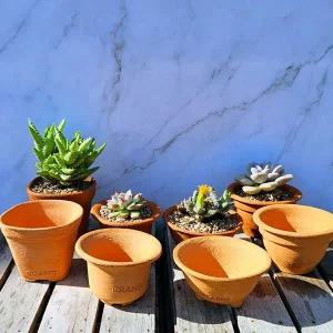 [골드스마일]TC 이랑 국내산 토분 MSset(4개1세트) - 다육 수공예