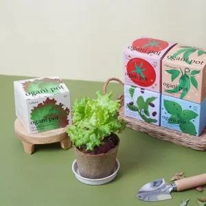 자연으로 돌아가는 오가니팟 5종 중 택1 식물키트 식물키우기 식물키우기세트