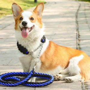 트위스트 로프 대형견 목줄+리드(1.3m) 개산책 반려산 애산 동물산 애완산 리드 중형 강아지 애목