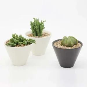 인테리어 반려식물 다육이 분갈이 넓은 도자기 화분 다육이미니화분 미니다육이