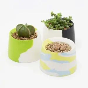 인테리어 반려식물 다육이 세라믹 패턴 도자기 화분 다육이미니화분 미니다육이