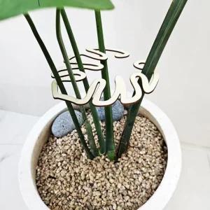 몬스테라 지지대 식물지지대 화분지지대 식물보호대 화훼 카라스토어