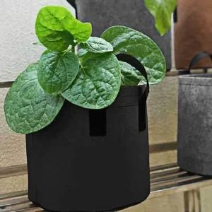 부직포 베란다 화분 소형 텃밭 그로우백 가정용 그로우백 가정용부직포화분