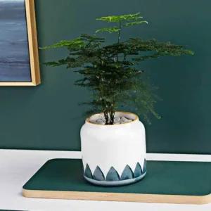 미니 도자기 화병 화분 소형 포트 꽃병 분재용 화분도기 도자기화분소형 도기화분