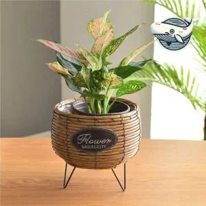 브라운 대나무 촉촉한 인테리어 화분 스탠드와 선인장 키우기 다육 소형