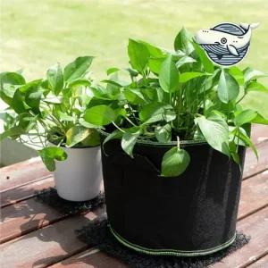 대형 수확용 화분 부직포 식물재배 저면관수 슬림 텃밭화분 자동급수화분 대형화분