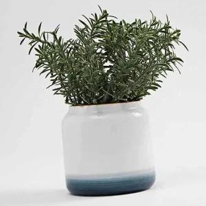 도자기 화분 소형 책상 다육이 모던 세라믹 꽃 미니 세라믹화분 도자기화분소형 책상화분