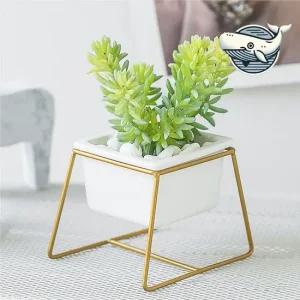 세련된 미니 식물 도자기 화분 실내 인테리어 선인장 키우기 다육 소형 무드등