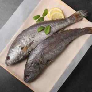 통민어 350g내외 x 2미