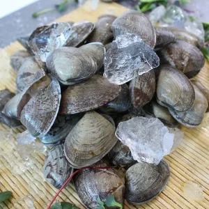 [산지직송] 여수 바지락 1kg