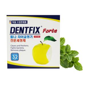 V11 덴트픽스 32정x6각 / 틀니 세정제 살균 양치 민트 잇몸 구내염 구취 프라그 의치