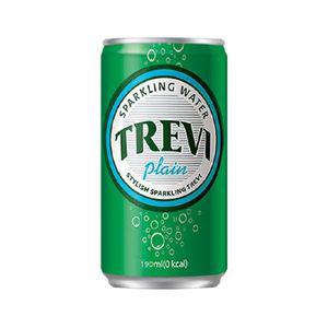 트레비 플레인 190ml 30캔 탄산수 캔음료