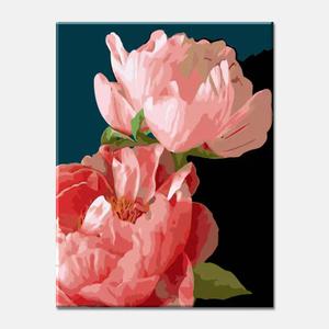 모모픽스페인팅 유화그리기세트 물감 2배 I76 모란꽃 두 송이 40x50 유화 그림 명화 붓 세트