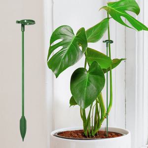 식물지지대 오링 지지대 화분 몬스테라 고정 수형가꾸기 고추 토마토 국화 지주대