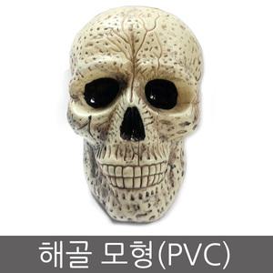 해골모형(PVC) 할로윈장식소품 할로윈데이 해골장식 파티용품 이벤트용품 공포소품데코