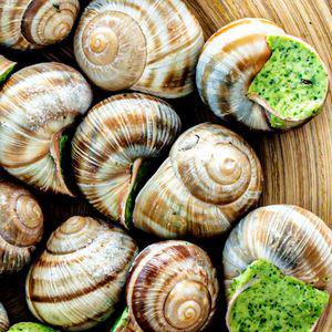 에스까르고 달팽이요리 2종 프랑스음식 와인안주 에스카르고