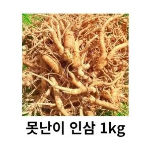 인삼 못난이 인삼 5년근 6년근 1kg 파지 못난이 삼계탕 인삼 홍삼 못난이 인삼 1kg 홍삼용