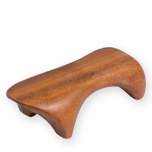 AWC 화배나무 거북 괄사