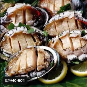 완도 꼬마활전복 40-50미(미당 20g~25g)