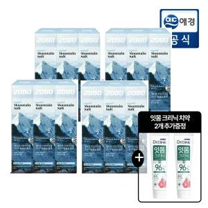 2080 퓨어 마운틴 솔트 치약 크리스탈민트향 120g x 12개 + 치약 2개 추가 GIFT