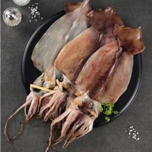 [수성심] 포항 구룡포 반건조 오징어70~80g x 20마리(팩당5마리/원양산)