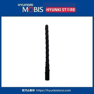 [현대모비스] 순정 루프 안테나 폴 폴대 (962002B000) 현대모비스부품몰